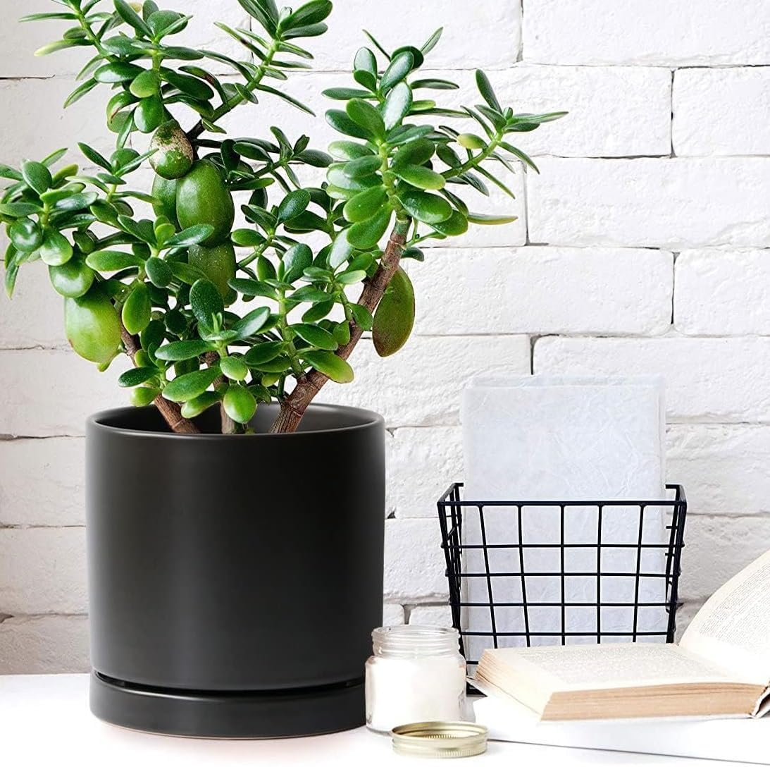 2 Pack Ceramic Plant Saucer Pot Tray 8 Inch, Planter Saucers 4 5 6 7 8 9 10 11 12 13 Inch for Indoors Outdoor, Durable Sturdy Flower Drainage drip Water Tray for Glazed Pots Base (8.5 Inch-Black)