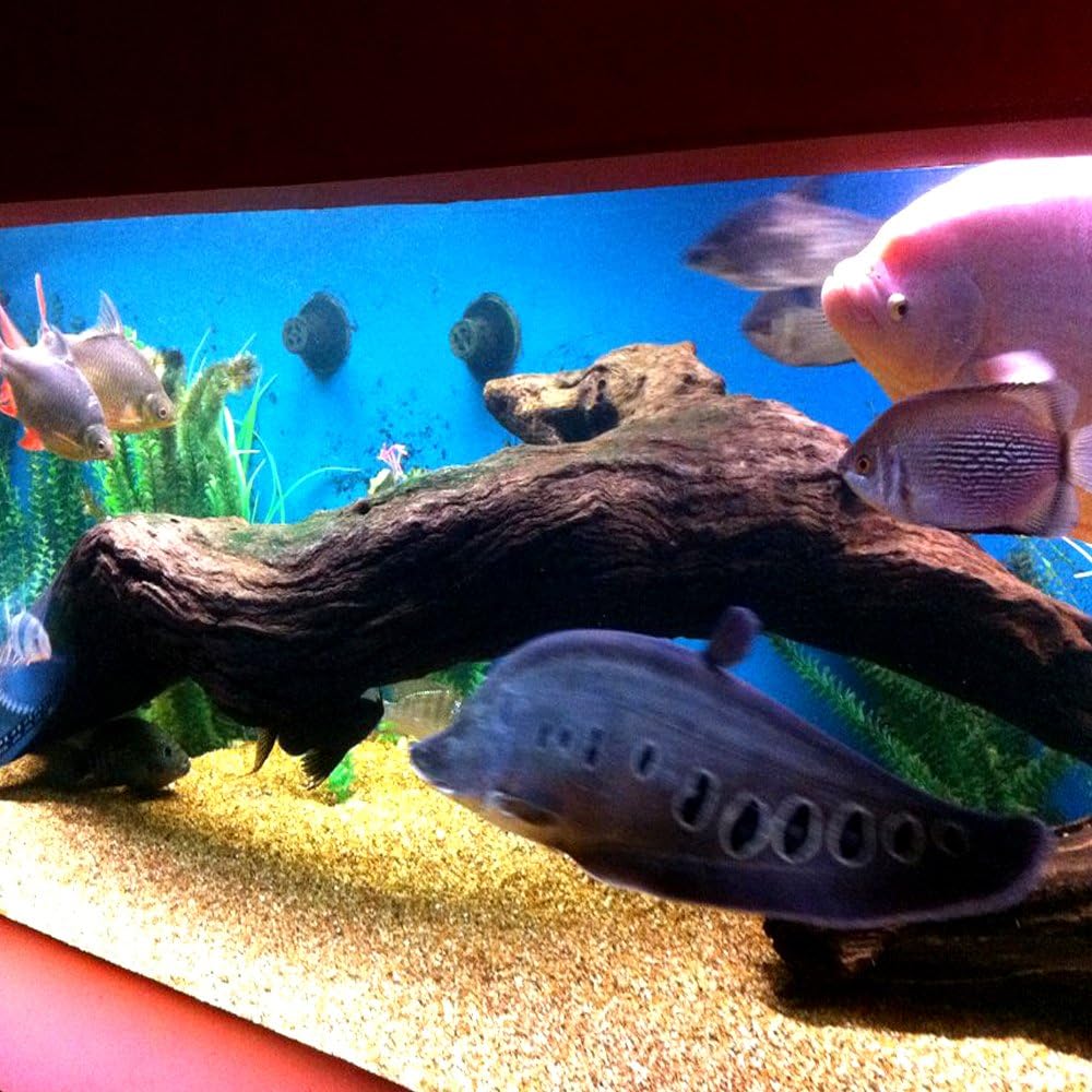 Pond Armor SKU-CBLUE-QT-R Non-Toxic Pond Shield Epoxy Paint, 1.5-Quart, Competition Blue, 48 Fl Oz (Pack of 1)