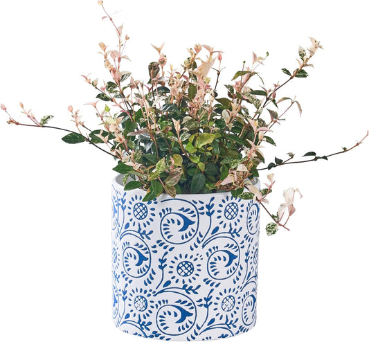 Ceramic Plant Pot for Indoor Plants, 6 Inch Blue & White Floral Porcelain Ceramic Decorative Flower Pot with Drainage Holes, Modern Planter for Home & Office Decor