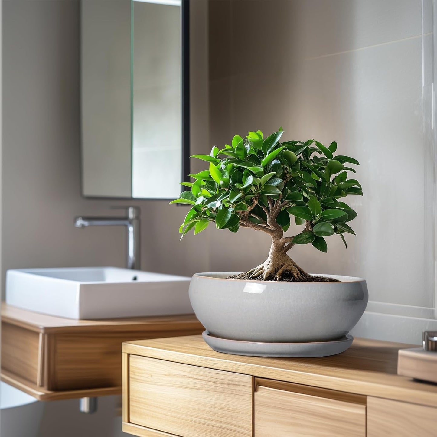 SQOWL Bonsai Pots - 10 Inch Ceramic Succulent Pots with Drainage Hole and Saucer, Large Shallow Indoor Planter, Bowl Round Planter Outdoor, Living Room Decor, Plant Lover Gifts, Gray