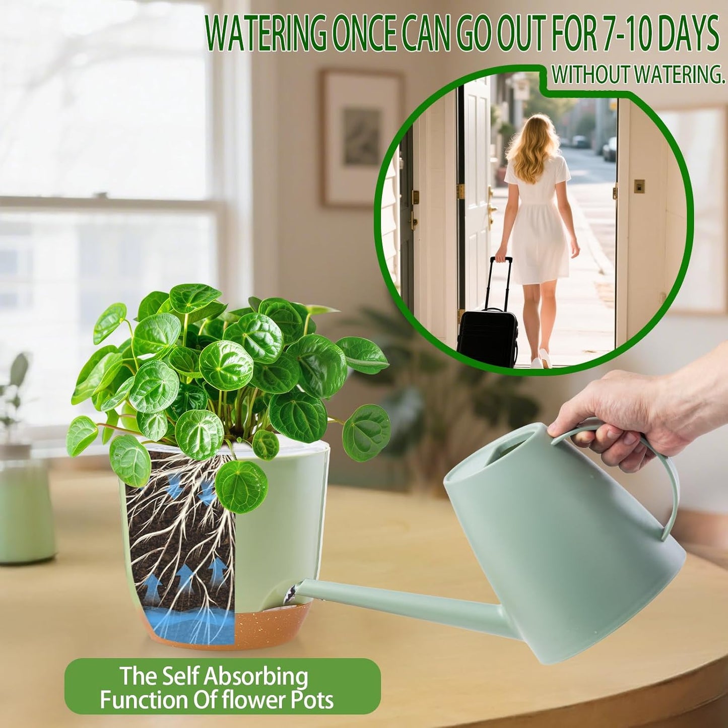 7.2 Inch Self Watering Orchid Pots for Indoor Plants,Macetas para Orqudeas,Flower Pots for Indoor Plants with Holes(Green)