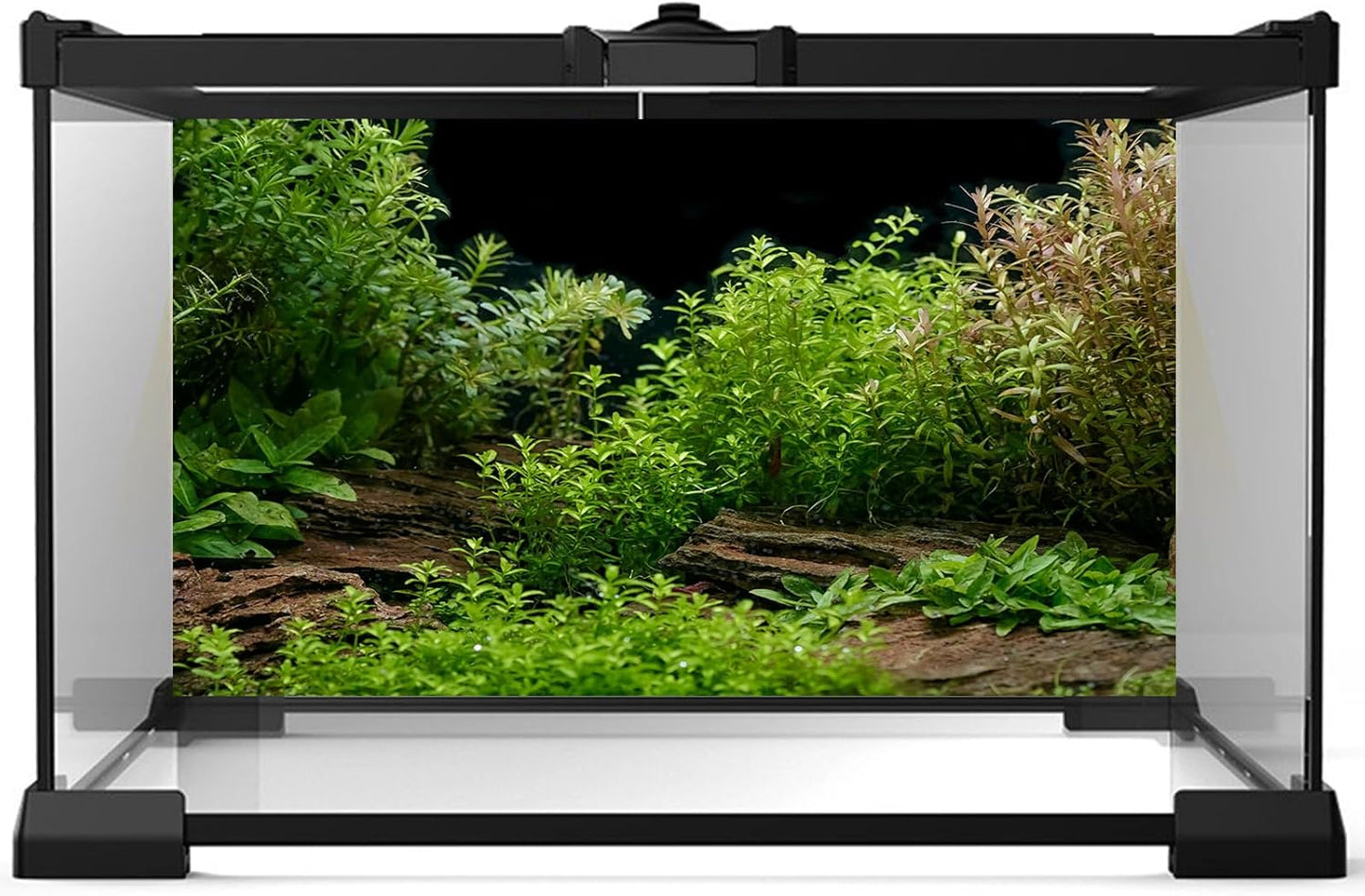 Aquarium Background Underwater Green Grass Leaves Stone Aquarium Backdrop Vivid and Fresh Green Aquatic Plant Stone River Bed and Lake Fish Tank Background Decor Vinyl 48x20in