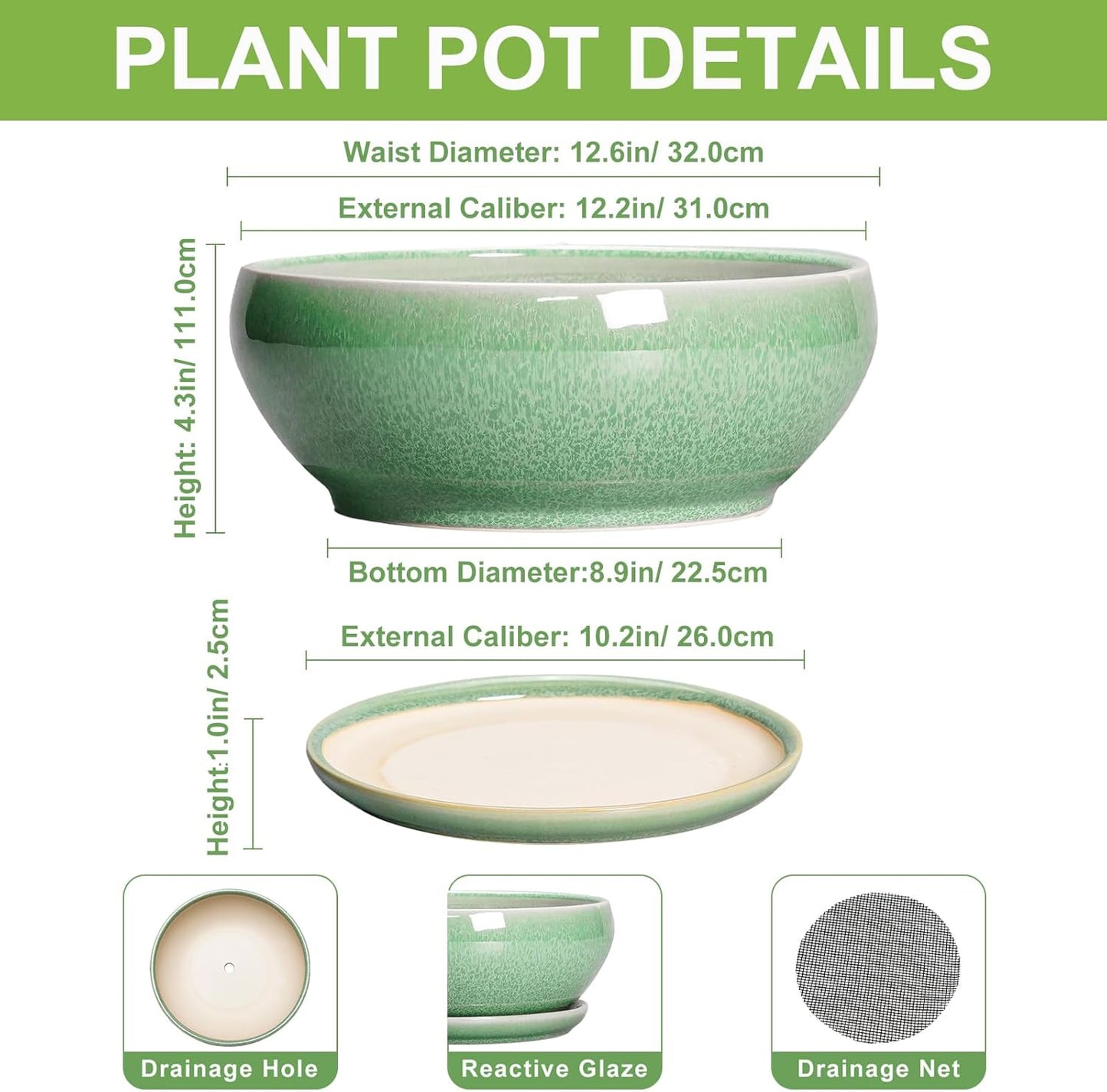 SQOWL Succulent Planter 12 Inch - Ceramic Bonsai Pots with Drainage Hole and Saucer, Large Shallow Planter, Bowl Round Planter for Indoor Outdoor Plants Flower, Room Decor, Birthday Gifts, Green