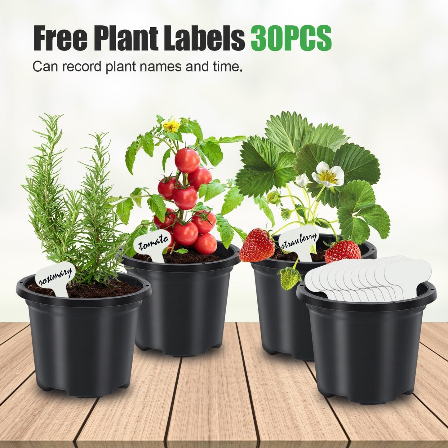 30 Pack Black Nursery Pots for Plants, 3.5 Inch Sturdy Plastic Seedling Plant Pot with Drainage Holes, Indoor Outdoor Garden Seed Starter with 30 Plant Labels