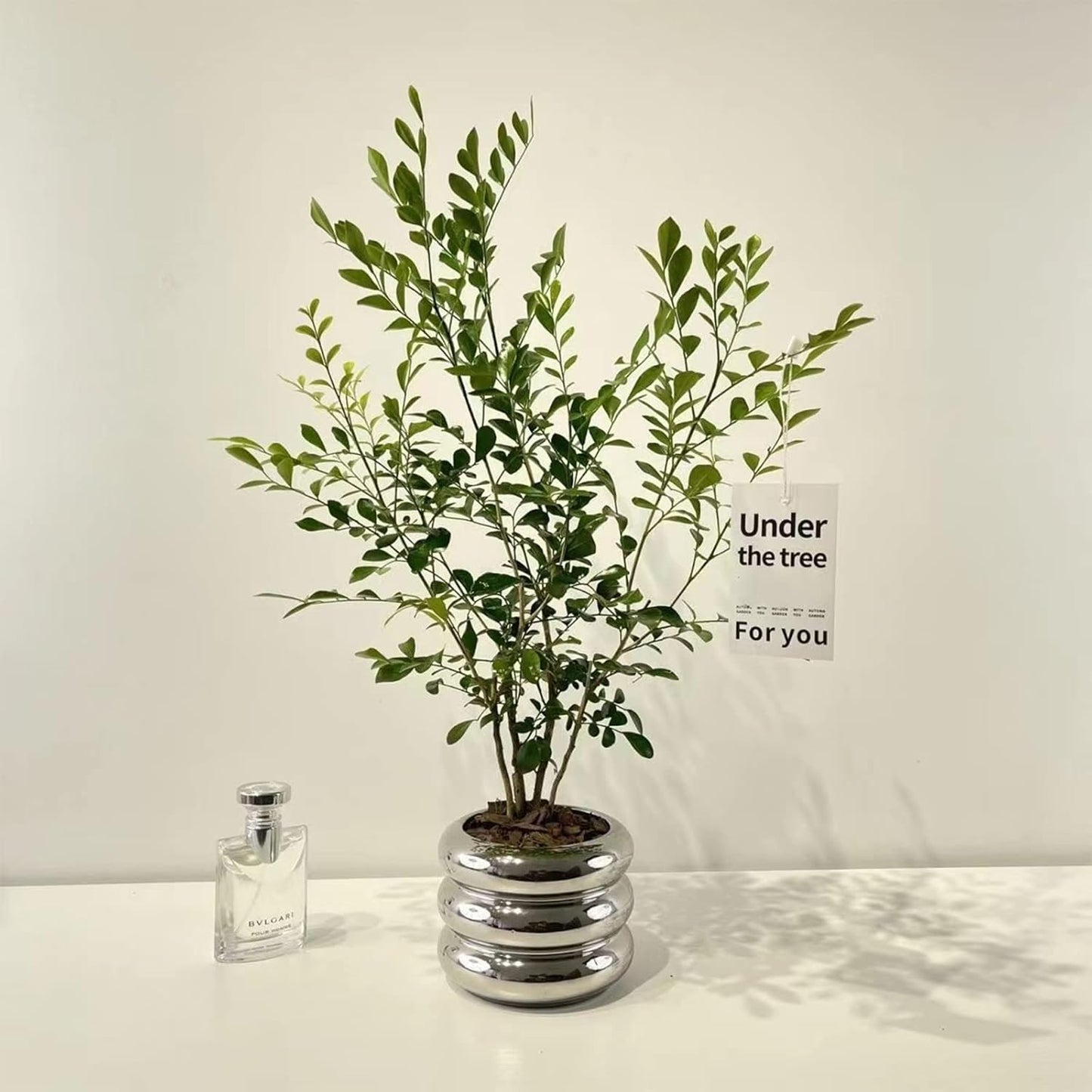 Ceramic Plant Pot Indoor, 4.7 Inch Flower Pot with Drainage Hole, Small Bubble Design Ceramic Planter for Home & Office Decor (Silver)