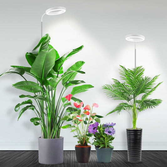 Garpsen Full Spectrum Grow Light, [2Pack]LED Plant Lights for Indoor Growing with 360° Gooseneck, 3 Colors Modes and 5 Dimmable Levels, 65'' Height Grow Lamp with 6/12/16H Timer, for Large Plant Light