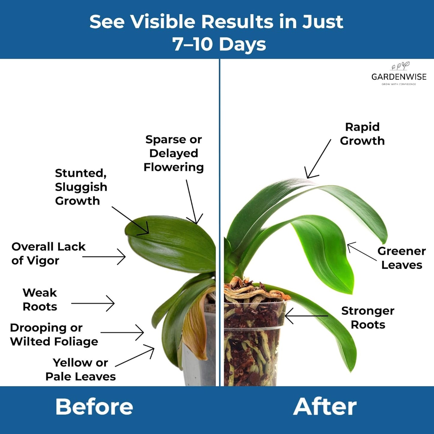 20-20-20 Water-Soluble Fertilizer – Powder for Liquid Plant Food for Indoor & Outdoor Plants, Orchids, Vegetables, Lawns, Flowers – 20 20 20 Fertilizer 1/2 Quart (1 lb)