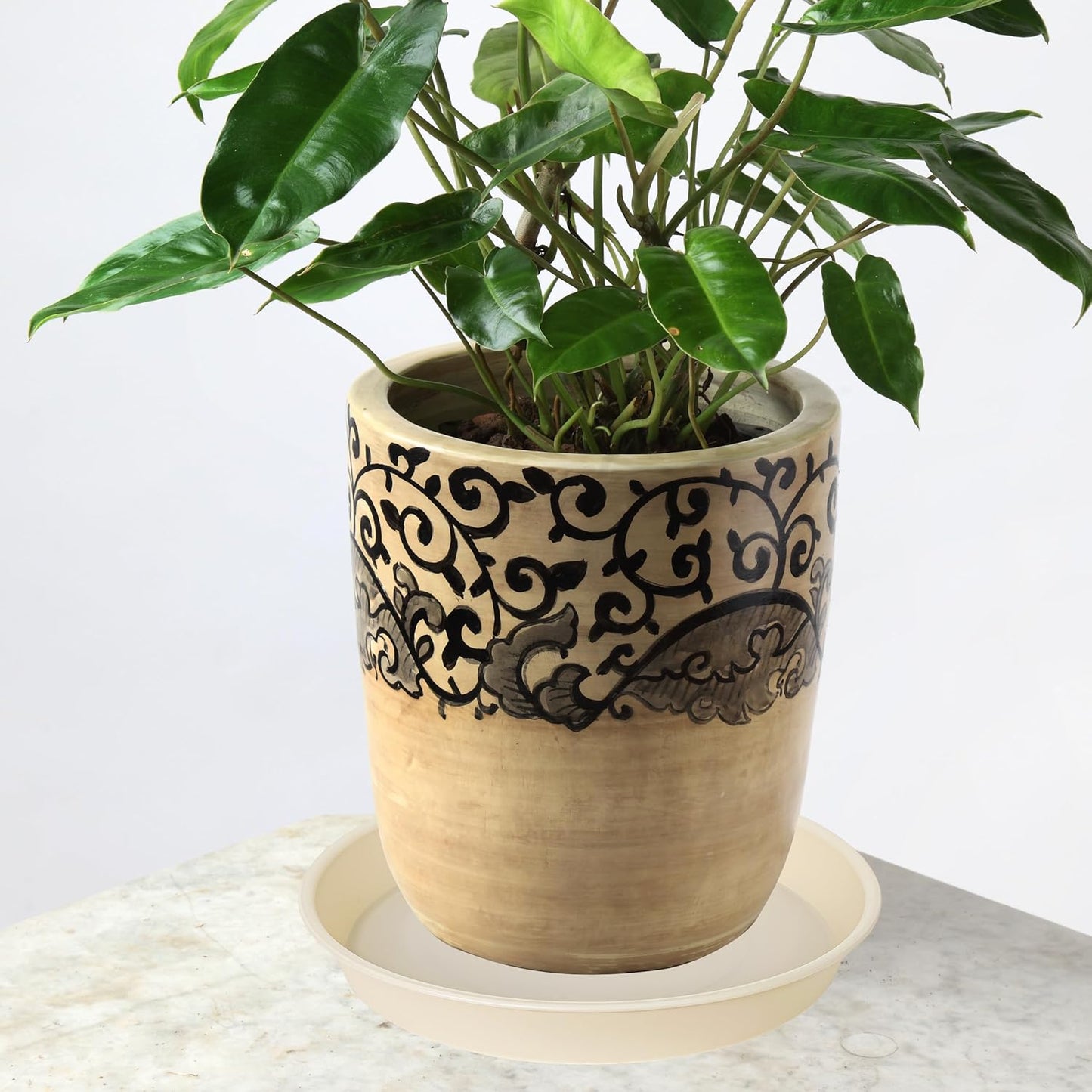 6 Pack of 8 inch Plant Saucer Blue, Plastic Plant Water Tray 8 inch Round, Flower Plant Saucers for Indoors, Dlant Dishes Saucer for Planter 7"/8" (8", Beige)