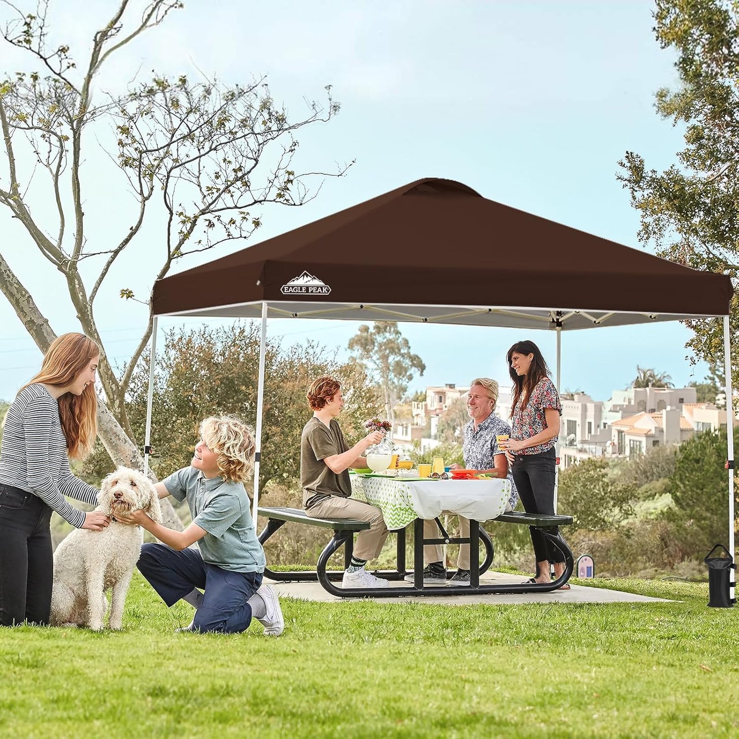 EAGLE PEAK Pop Up Canopy Tent with Wheeled Carry Bag, 8 Stakes, 4 Ropes, 4 Weight Bags, Easy Set Up Tent Canopy, 10x10 ft, 100sqft of Shade,Brown