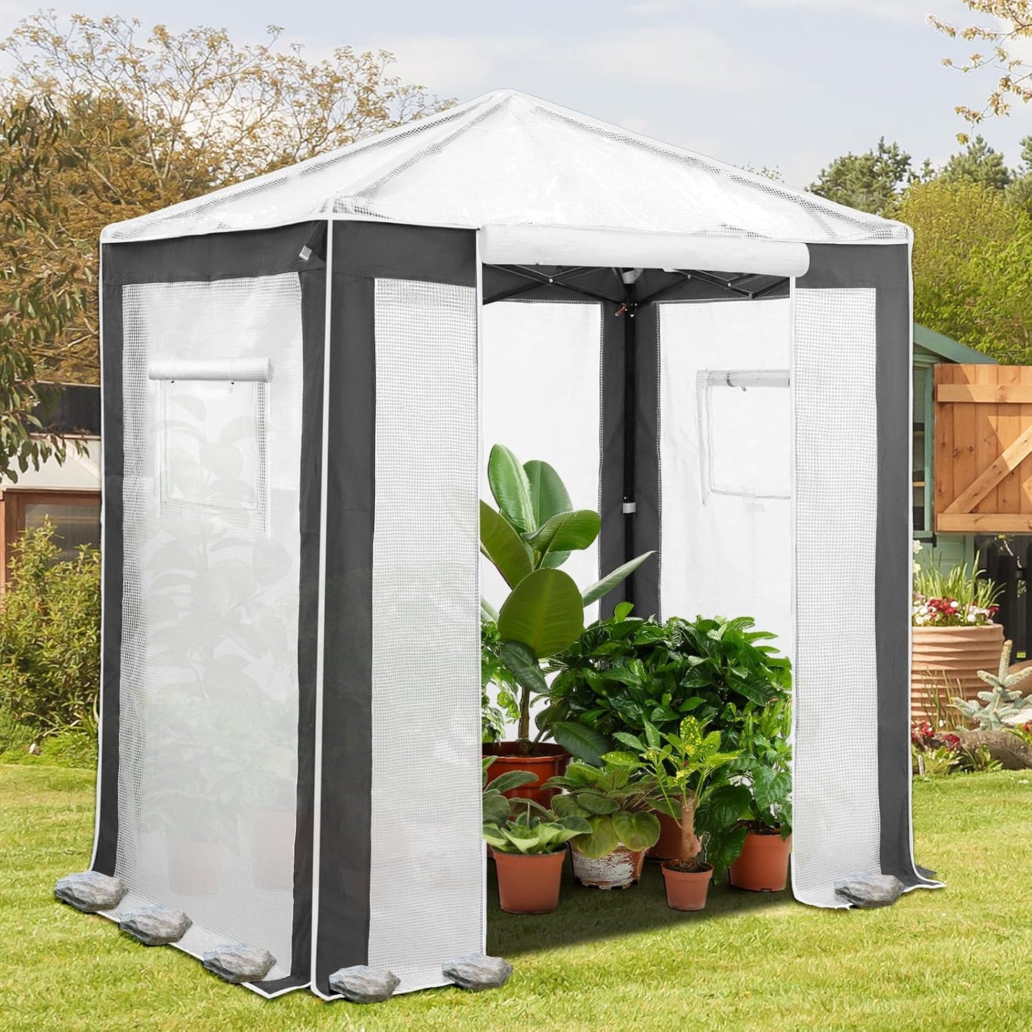 EAGLE PEAK 6x4 Portable Walk in Greenhouse with Polyester Reinforced Corners, Instant Pop up Indoor Outdoor Gardening Green House, Roll Up Zipper Entry Door and Mesh Windows, Gray/White