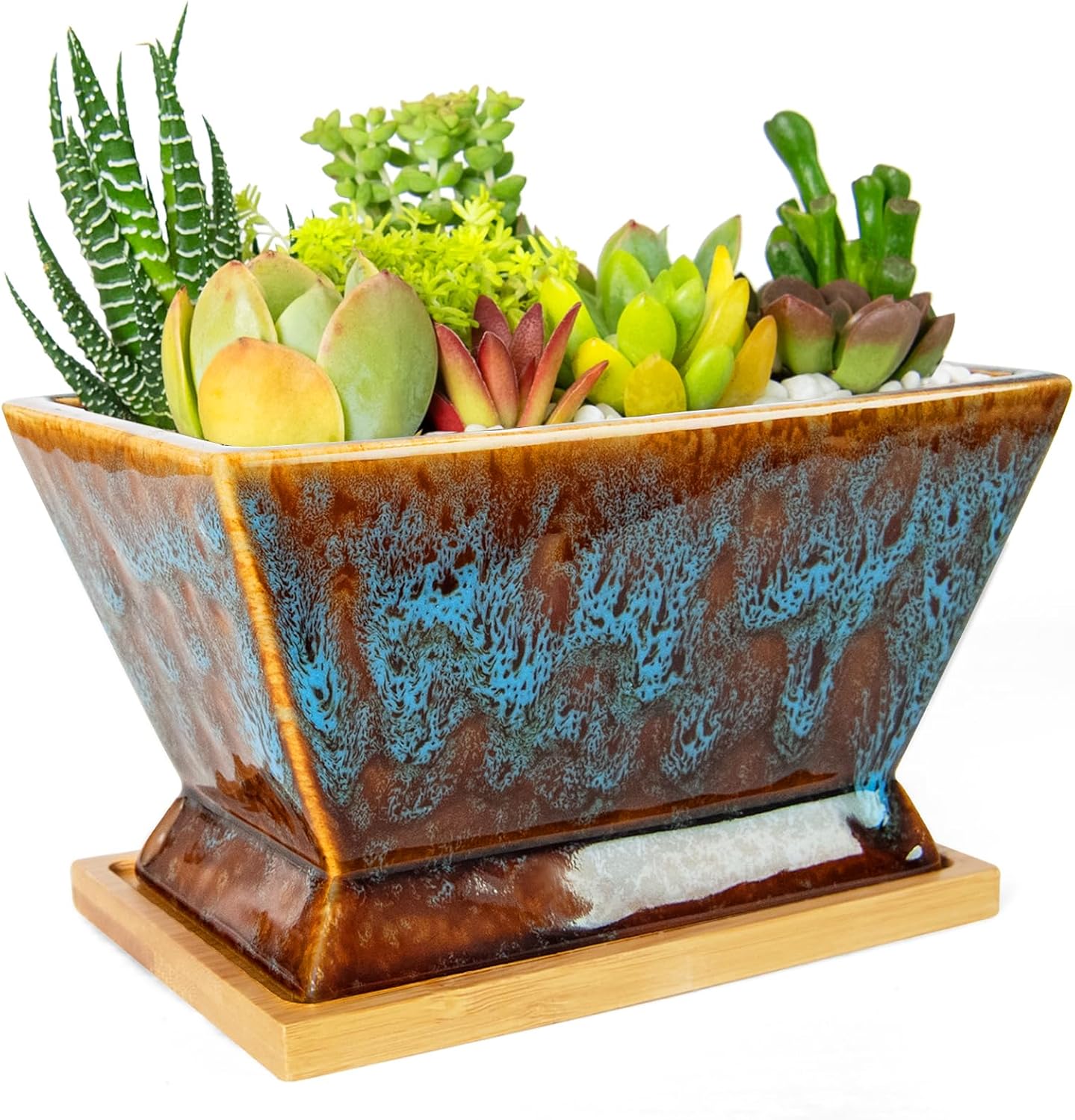 ARTKETTY Succulent Pots - 7 Inch Large Plant Pot with Drainage Tray, Shallow Ceramic Pots for Indoor Plants, Modern Cactus Bonsai Plant Container Decorative Home Office