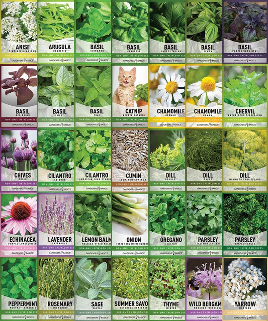 Gardeners Basics Complete Medicinal Herb Seeds for Planting Collection - 35 Best Herbs Variety Pack for Teas and Home Remedies - Indoor, Outdoor, Hydroponic Herbal Herbalist Seed - Non-GMO, Heirloom