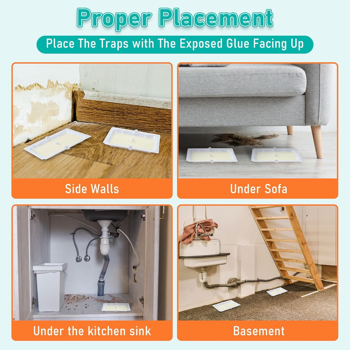 Qualirey 12 Pack Mouse and Insect Glue Traps, Strong Sticky Mice Traps Indoor for Home, Pre Scented Rodent Pads with Non Toxic Glue for House Garage, Ready to Use, Safe to Children and Pets (White)