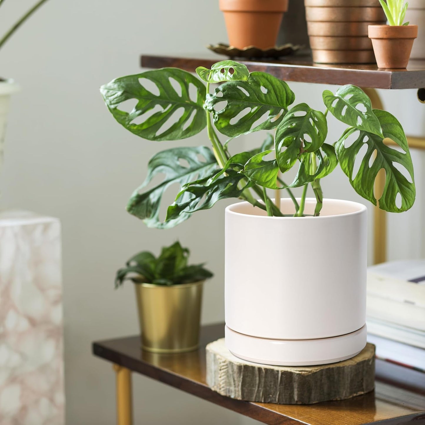 D'vine Dev Set of 2 Plants Pots, 6.5 Inch Ceramic Planter Pot for Plants with Drainage Hole and Saucer, Oatmeal, 94-V-C-8