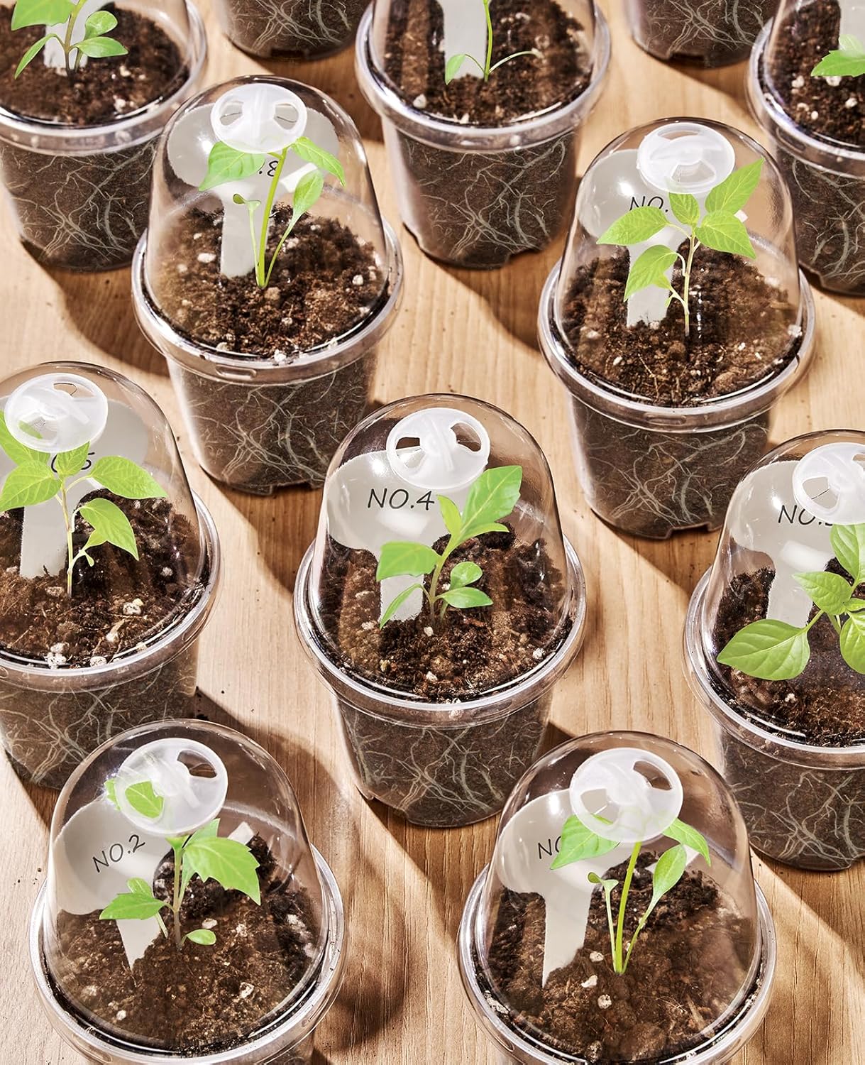 homenote Clear Nursery Pots for Plants,4 Inch Plant Pot for Planting with Humidity Domes Plastic Seedling with Drainage Holes Seed Starter Flower High Transparency (30 Pack)