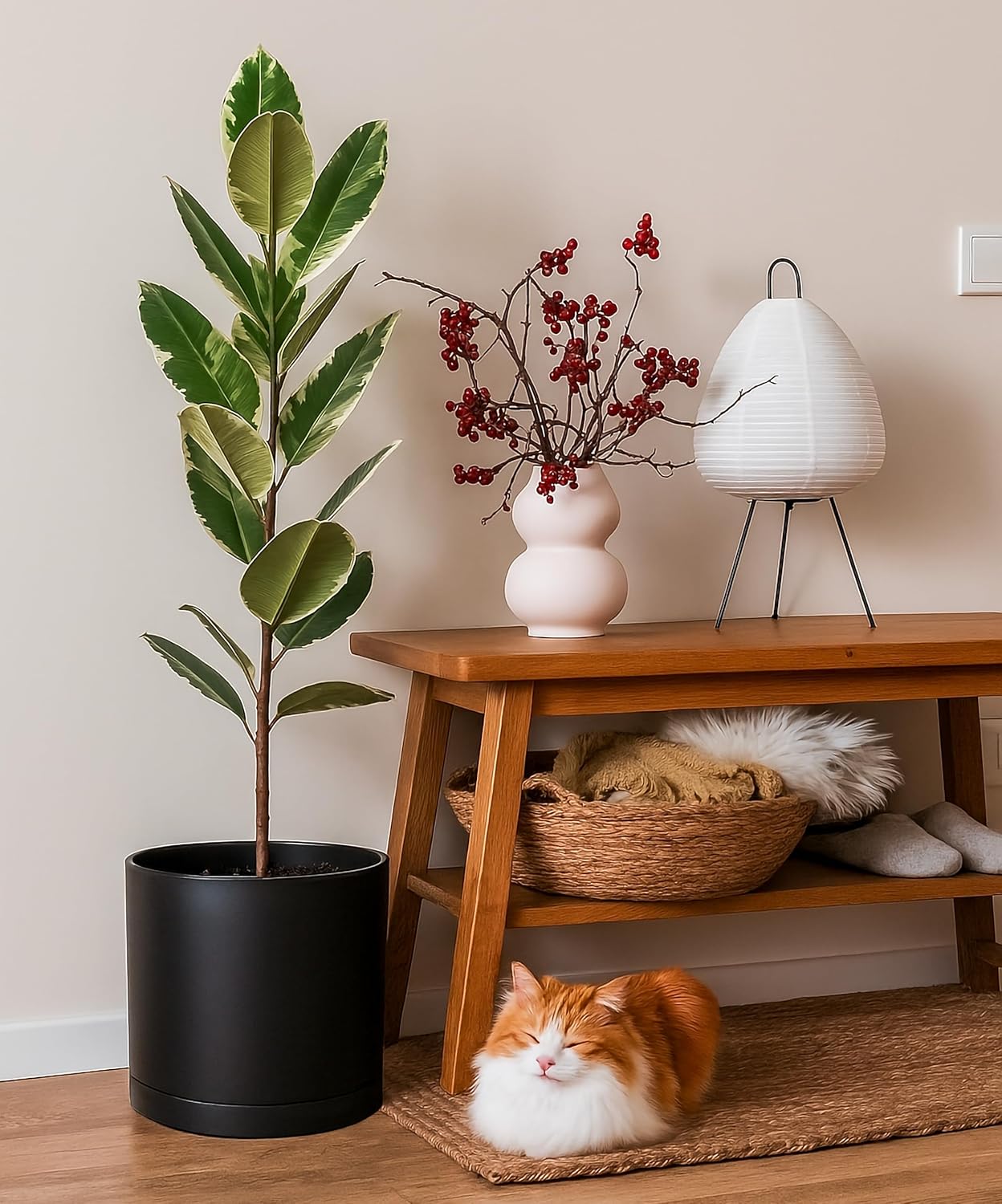 D'vine Dev 10 Inch Plastic Planter Pots for Plant Pot with Drainage Hole and Seamless Saucers, Black Color, 74-X-B-2