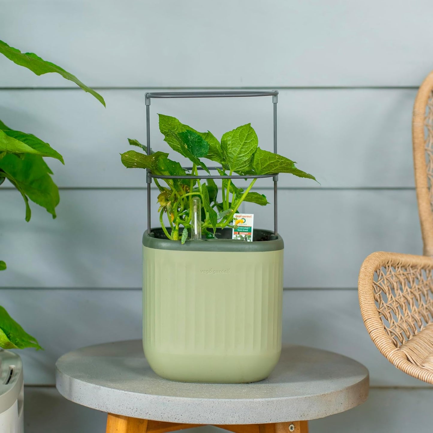 Vego garden Mini Planter Indoor Pots with Trellis Self-Watering Herb Countertop Planter for Climbing Vegetables Flowers Mint Plants Cage- Sage Green