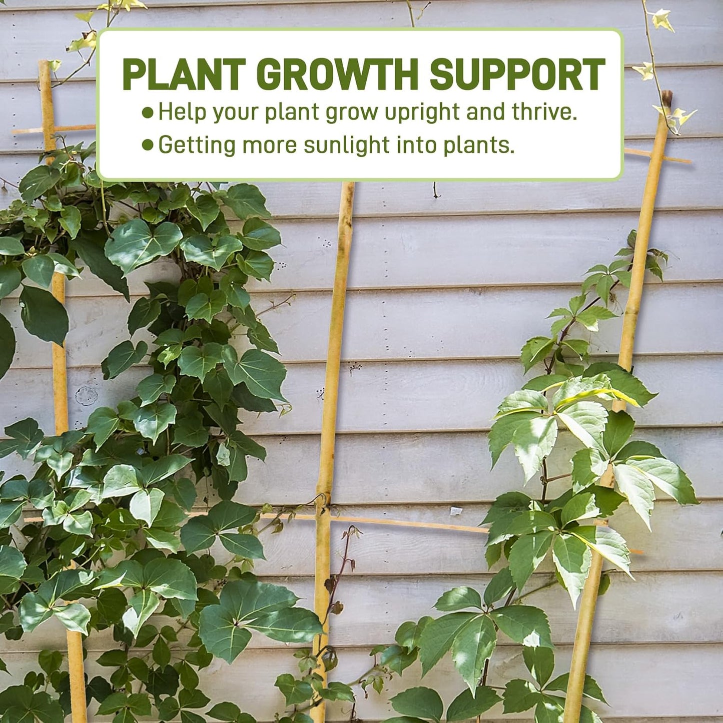 Avalution 10 Pack Bamboo Trellis for Climbing Plants, 3 FT Garden Ladder Trellis for Potted Plants Indoor, Fan-Shaped Small Plant Support Trellis for Houseplants Ivy Hoya Vine Monstera