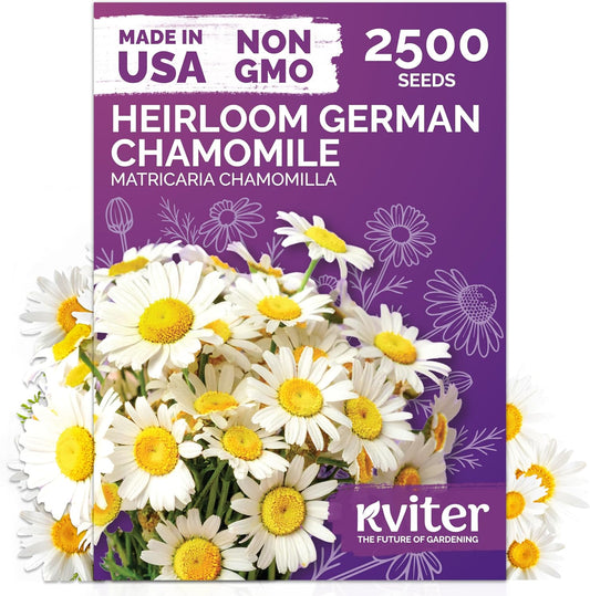 KVITER 2,500 German Chamomile Seeds for Planting (Matricaria Chamomilla/Recutita) – Heirloom & Non-Gmo Medicinal Herb Seeds, Flowers for Remedies & Chamomile Tea Organic – Indoors/Outdoors Herb Garden