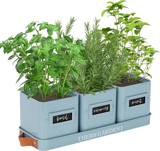 PERFNIQUE Indoor Herb Garden, Herb Garden Planter Set with Tray, Farmhouse Indoor Plant Pots, Windowsill Herb Garden with Drainage(Planter only) for Indoor/Outdoor, Window Pots(Sky Blue)