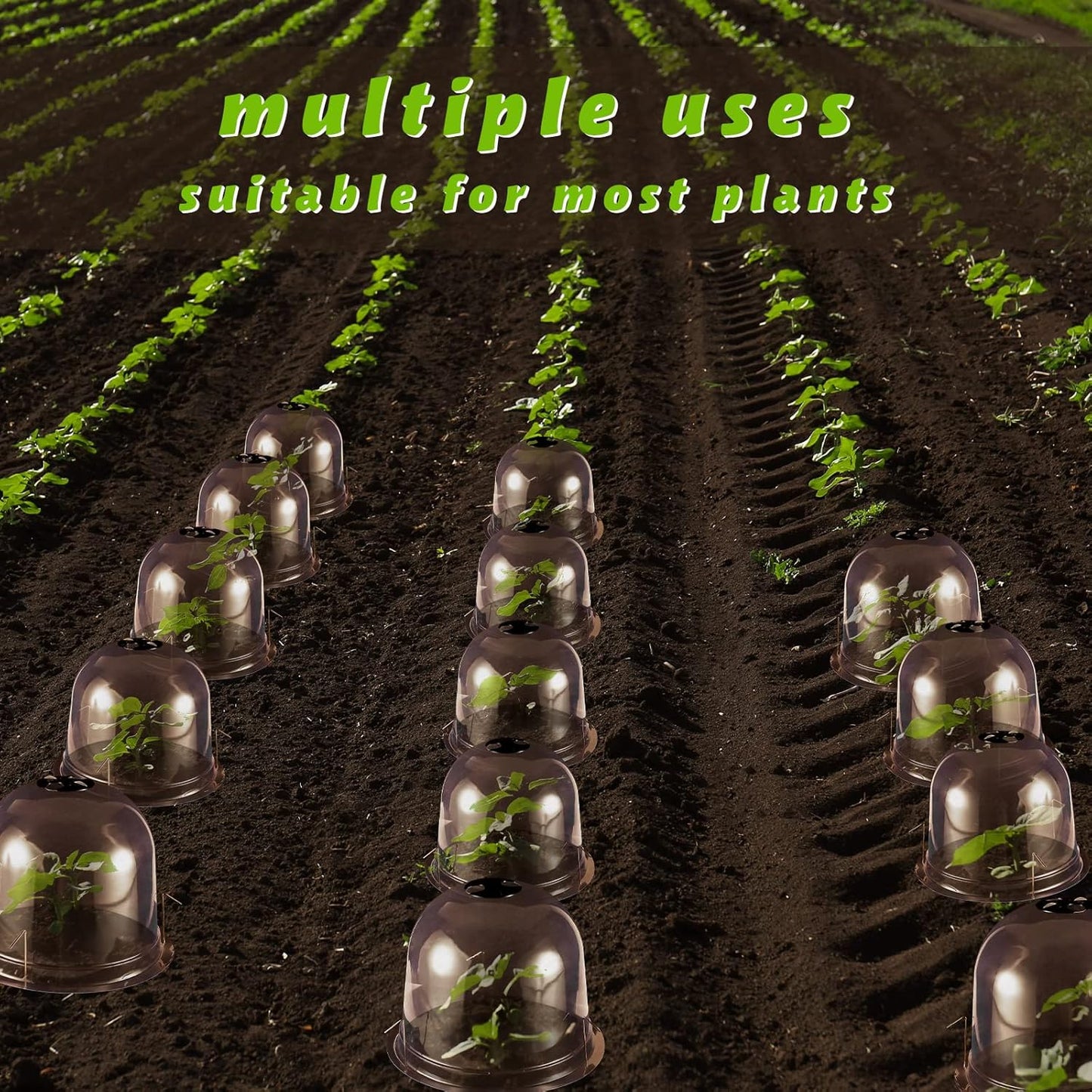 20 Pack Garden Cloche Plant Dome 10.2 D x 8.3 H Plant Cover Plastic Humidity Dome Reusable Plant Protector Mini Greenhouse Dome Plastic Plant Bell Cover with Ground Securing Pegs for Outdoors Plants