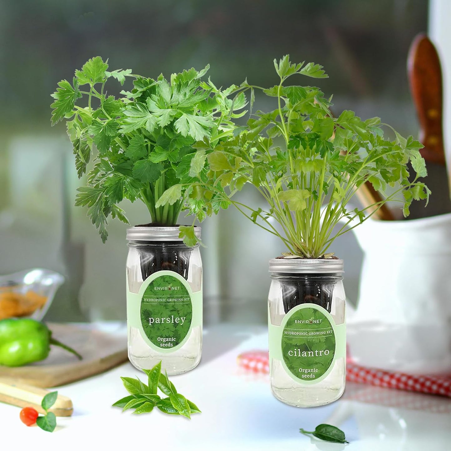 2-Pack Hydroponic Mason Jar Herb Garden Kit, Indoor Herb Garden Self-Watering Starter Kit (Parsley,Cilantro)