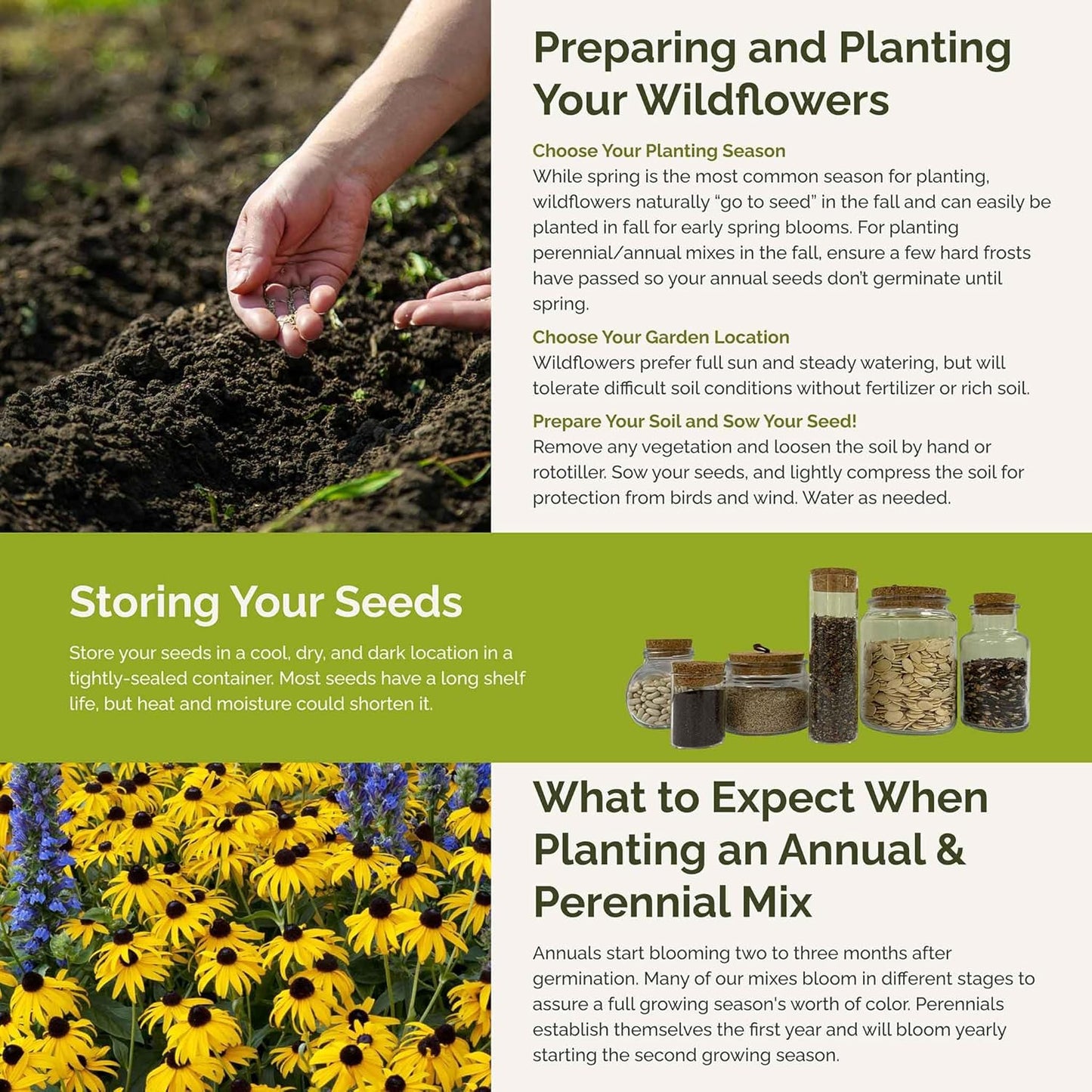 Eden Brothers Late Bloomer Wildflower Mixed Seeds for Planting, 1/4 lb, 120,000+ Seeds with White Yarrow, Snapdragon | Attracts Pollinators, Plant in Spring or Fall, Zones 3, 4, 5, 6, 7, 8, 9, 10