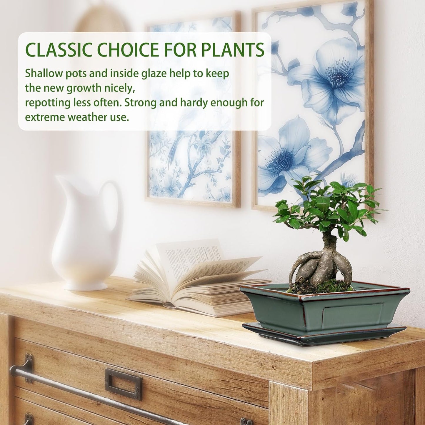 Ceramic Bonsai Pots with Drainage Trays Set of 2, Green Glazed Bonsai Planters for Indoor/Outdoor Use, Rectangular Shallow Bonzai Tree Pot for Succulent, Orchids, Cacti, Home, Patio, Garden, 7.5"x5.5"