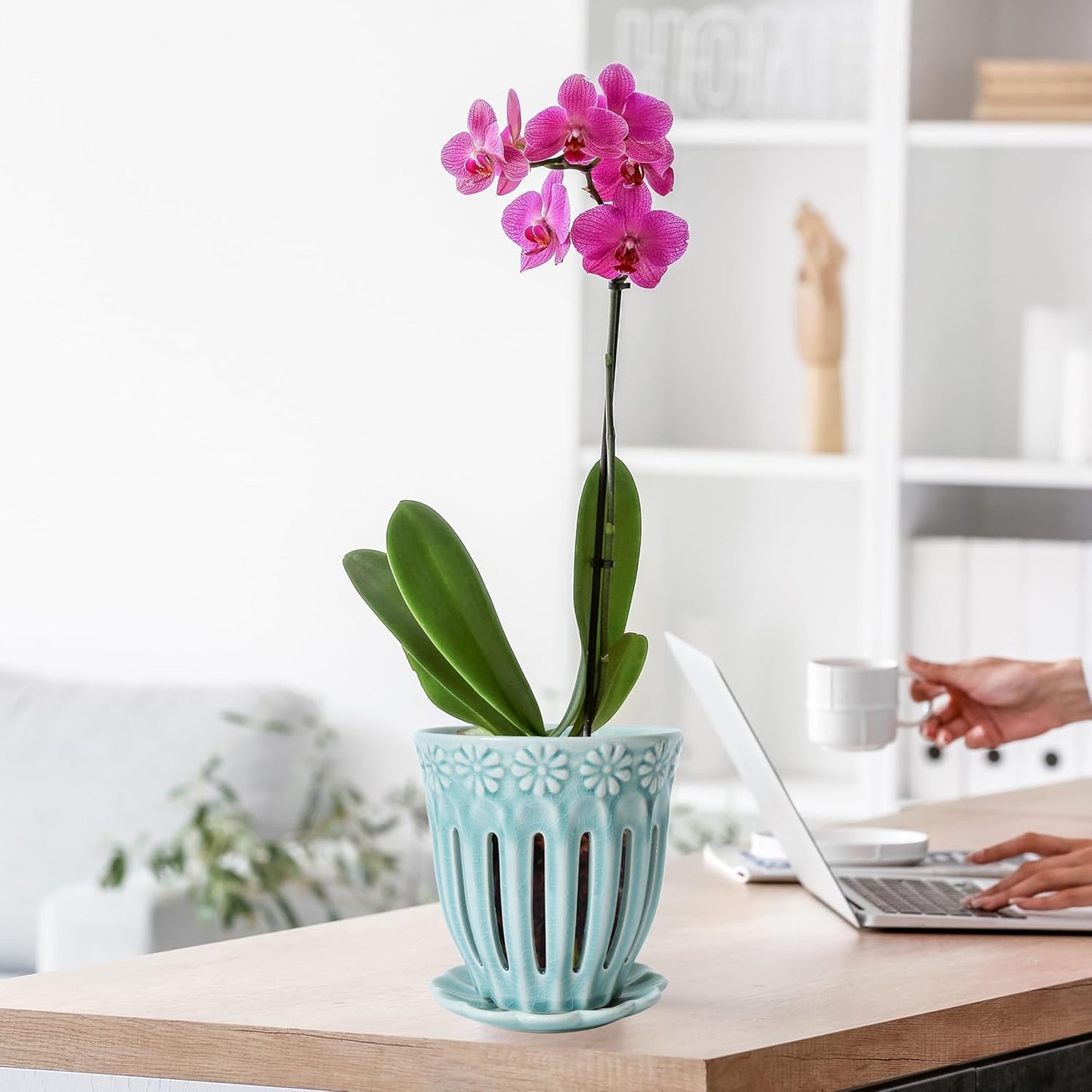 5" Ceramic Orchid Pot with Saucer: Ceramic Orchid Planter for Repotting - Plant Flower Pots for Orchid Indoor Outdoor - Orchid Pots with Holes - Orchid Container with Drainage Holes and Tray