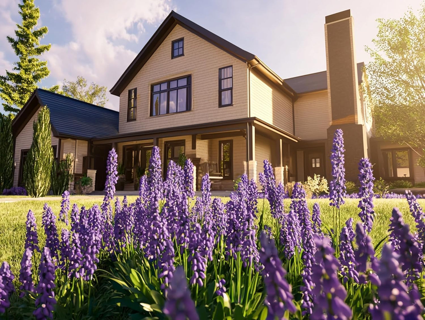 Big Blue Liriope Muscari - 5 Live 4 Inch Pots - Drought Tolerant Low Maintenance Evergreen Plants Grass Lilyturf