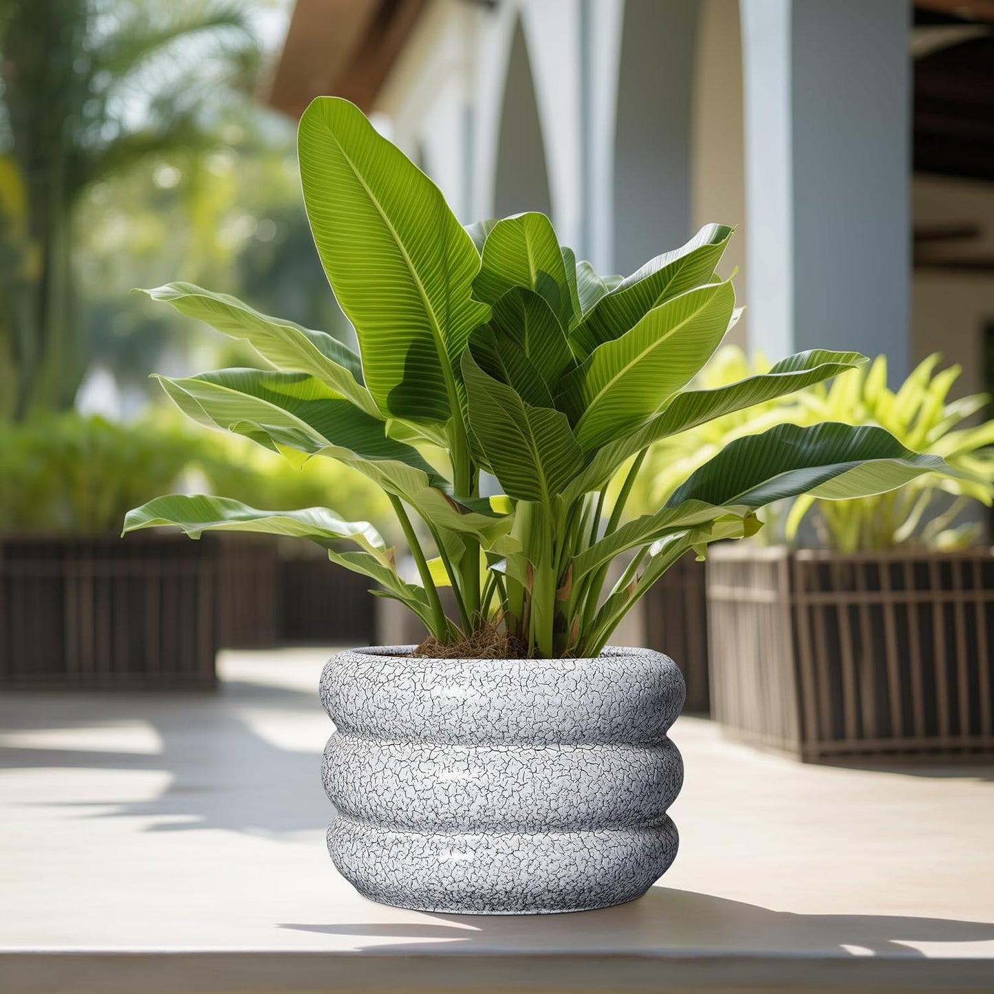SQOWL Ceramic Plant Pots - 13.5 Inch Ceramic Planter with Drainage Hole, Large Round Planter for Indoor Plants, Modern Flower Pots Outdoor, Office Living Room Decor, Birthday Gifts, Black and White