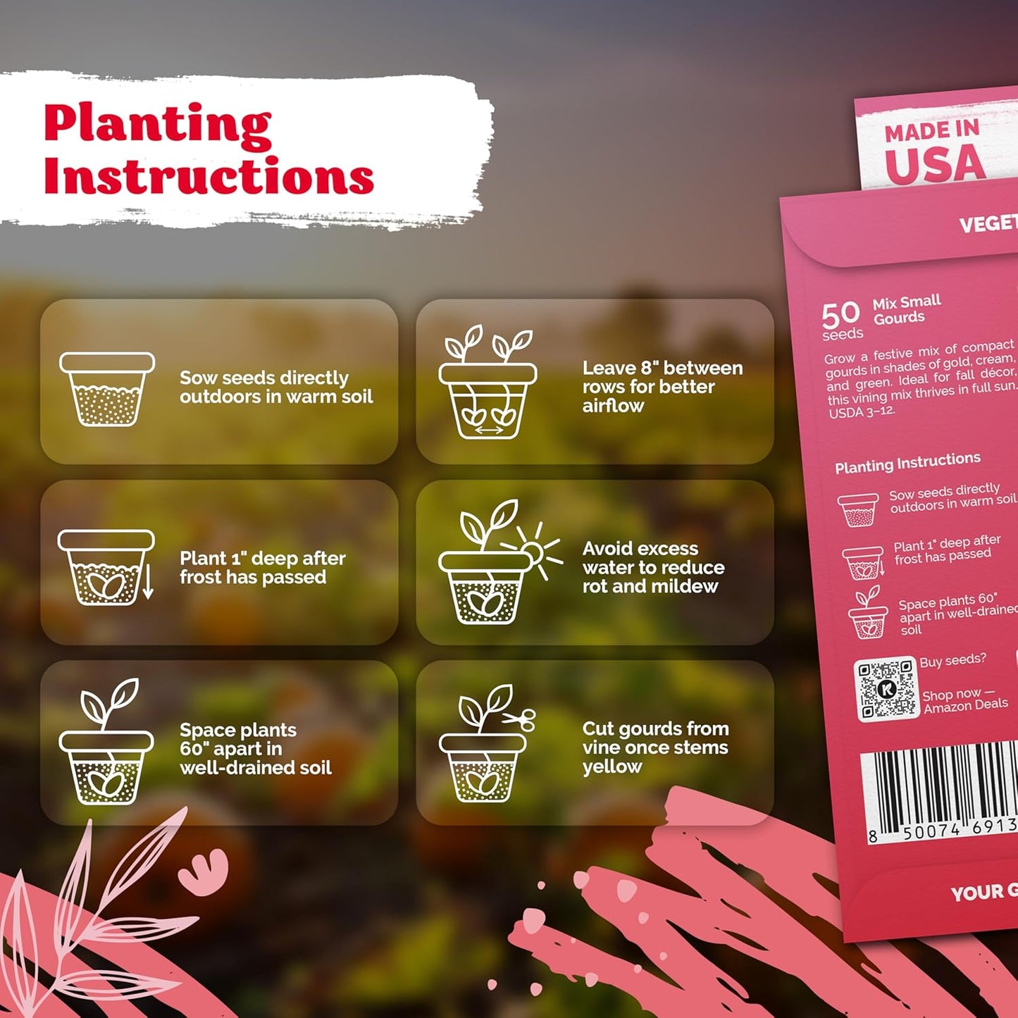 KVITER 50 Small Gourd Seeds Mix (Cucurbita Pepo) – Ornamental Fall Decor Gourds, Non GMO & Organic – Perfect Heirloom Seeds for Planting Decorative Gourds in Vegetable Garden