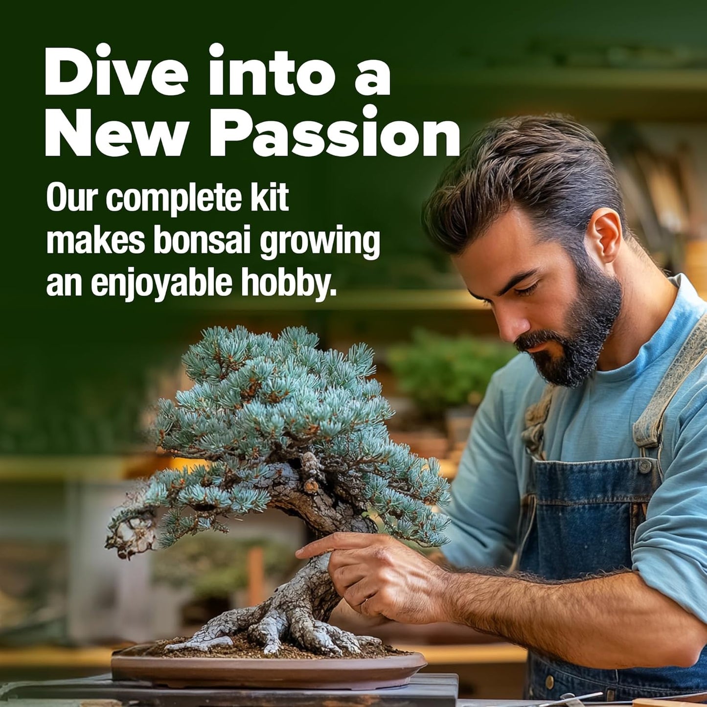 Bonsai Tree Kit - Gifts for Men & Women - Grow 4 Bonsai Trees - Unique Gardening Crafts for Adults, DIY Hobbies for Plant Lovers & Gardeners - Unusual Christmas Gift Ideas for Mom & Dad