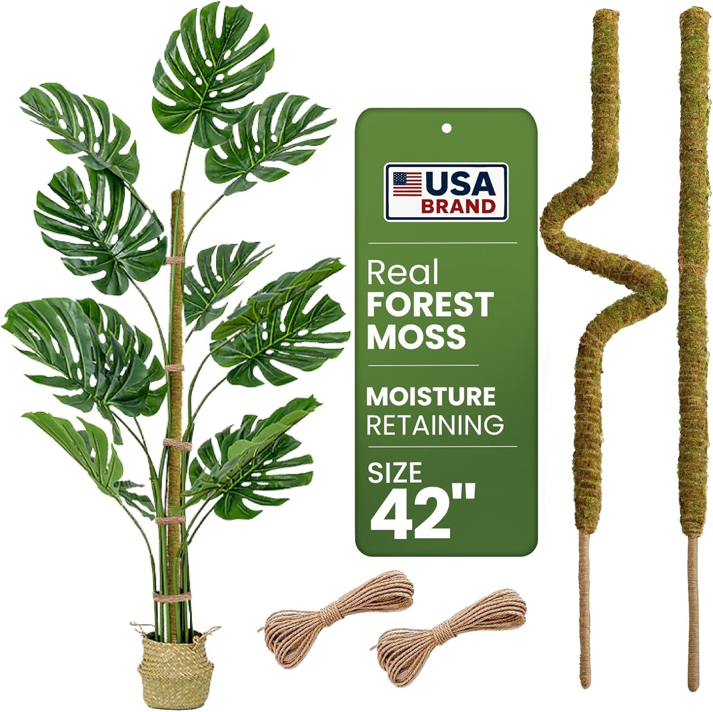 2 Pack 42'' Bendable Moss Pole Monstera Plant Support - Real Forest Moss for Climbing Indoor Plants - Stakes for Potted Climbers - Tall Sticks Indoor Trellis for Houseplants - Pot Accessories