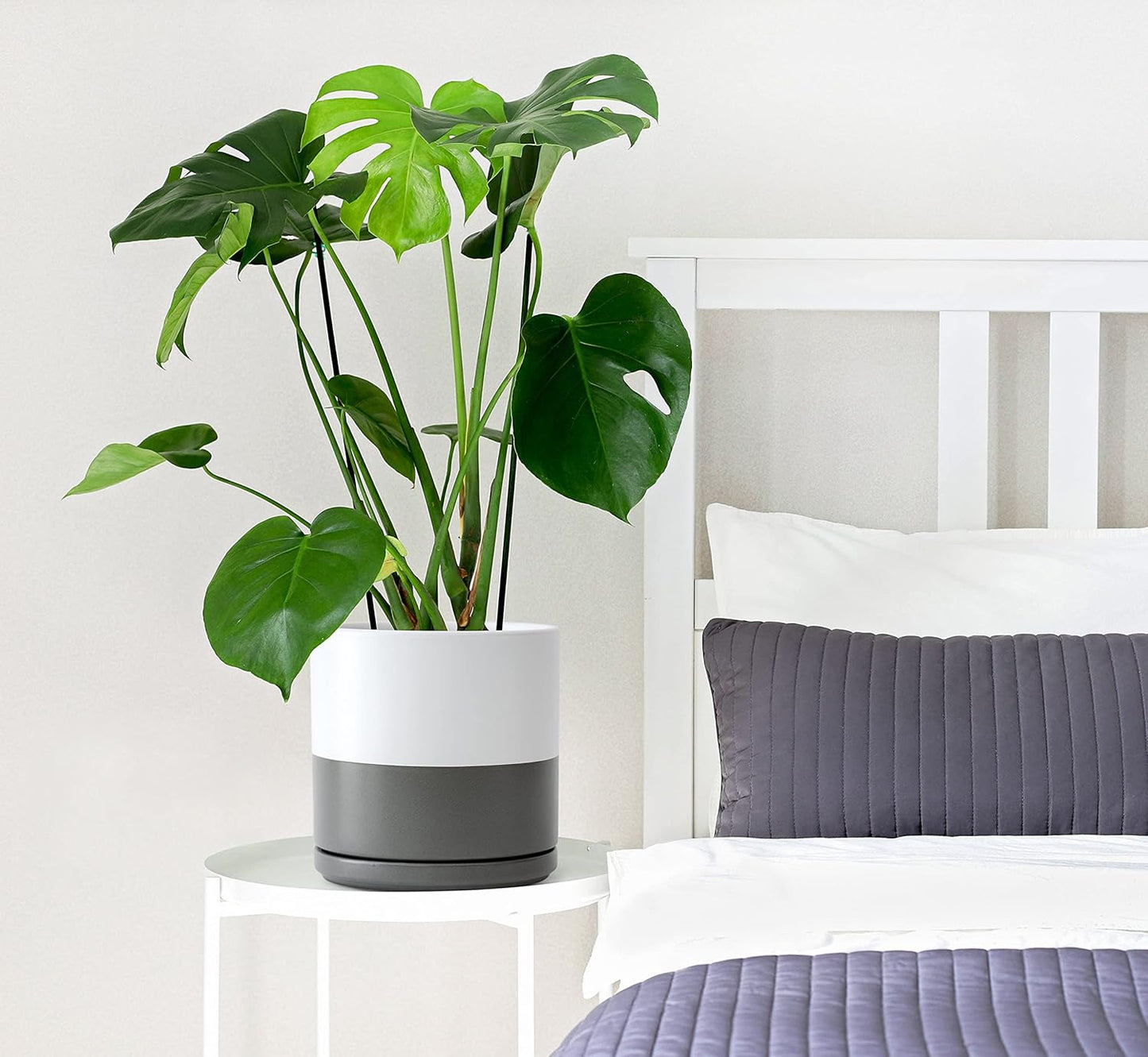 D'vine Dev Set of 2 Plants Pots, 8 Inch Ceramic Planter Pot for Plants with Drainage Hole and Saucer, White/Speckled Grey, 94-V-D-6