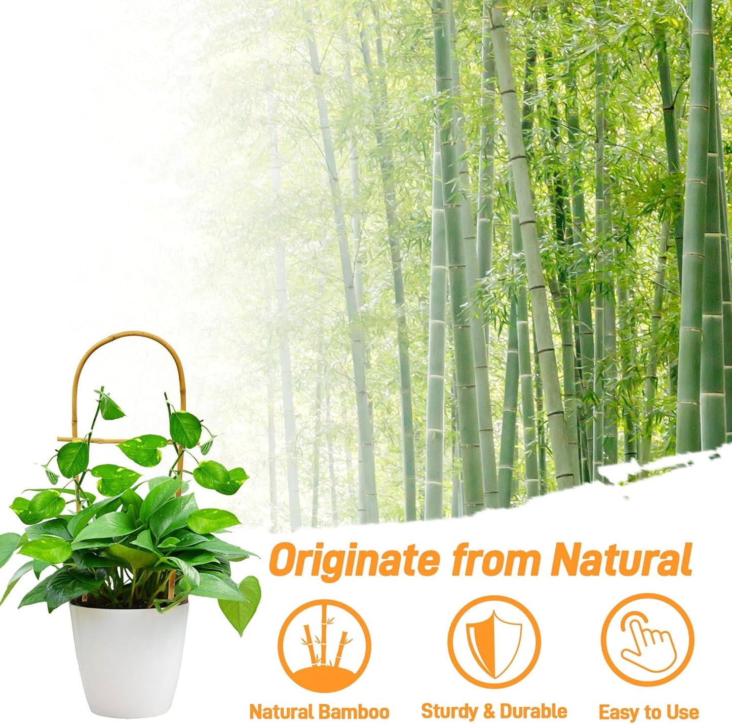 Avalution 10 Pack Bamboo U Trellis for Climbing Plants, 16 Inch Garden Ladder Trellis for Potted Plants Indoor, Ladder Small Plant Support Trellis for Houseplants Ivy Hoya Vine Monstera