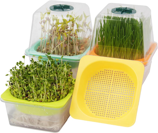 Microgreen Growing Trays, LUVCSOY Sprouting Tray with Humidity Dome, 3mm Large Mesh Holes, BPA Free, Sprouter Kit for Growing Large Seeds, Like Sunflower, Mung Beans, Green Pea - 4 Pack | Clear