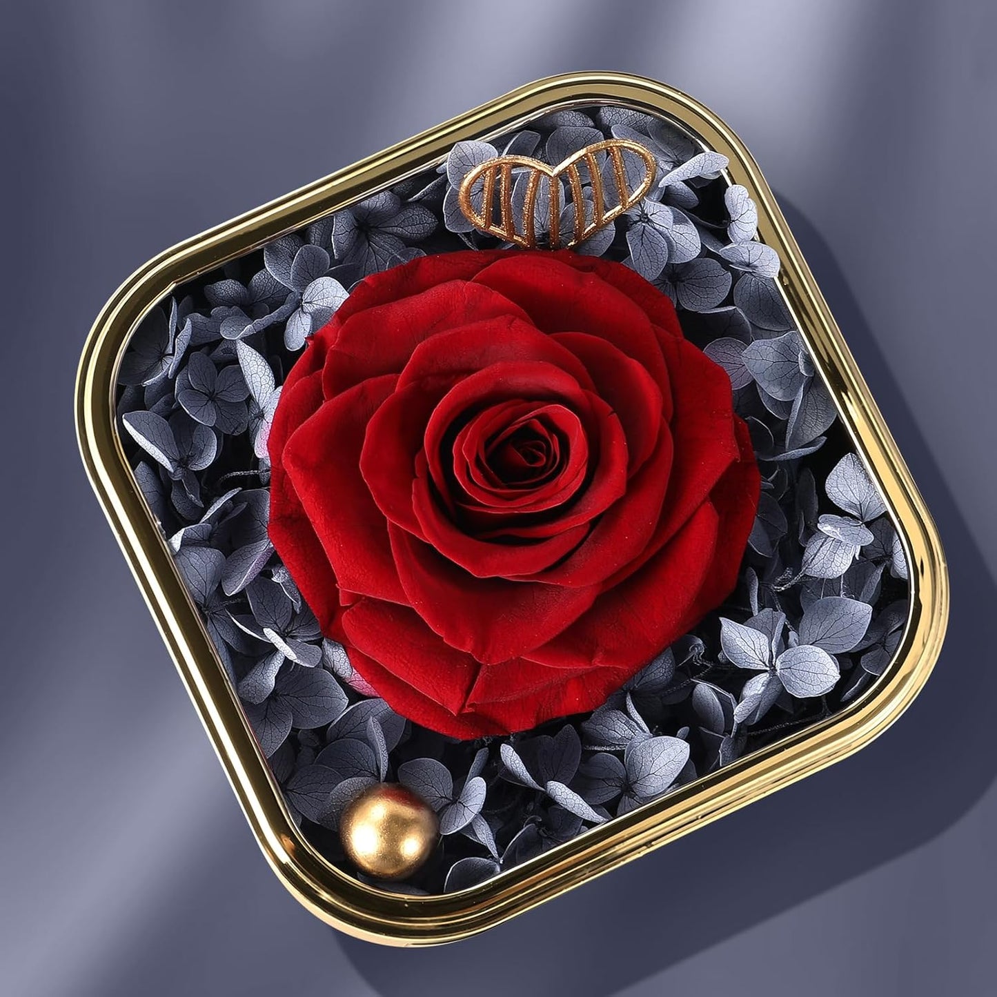Mikasol Preserved Rose & Heart-Shaped Necklace with Jewelry Box - Preserved Rose, Ideal Romantic Gift for Women, Anniversary, Valentines, Black, 4.9"x4.5"x4.1"