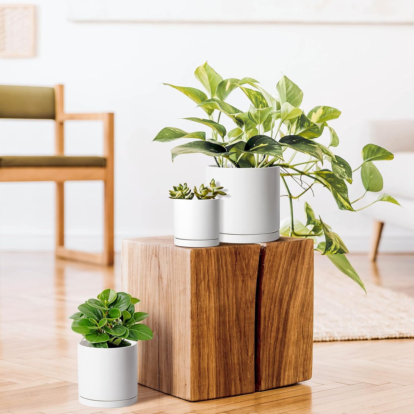 D'vine Dev White Terracotta Pots for Plants, 4.2 Inch 5.3 Inch 6.5 Inch, Succulent Planter Pot with Drainage and Saucer, 40-T-A-1