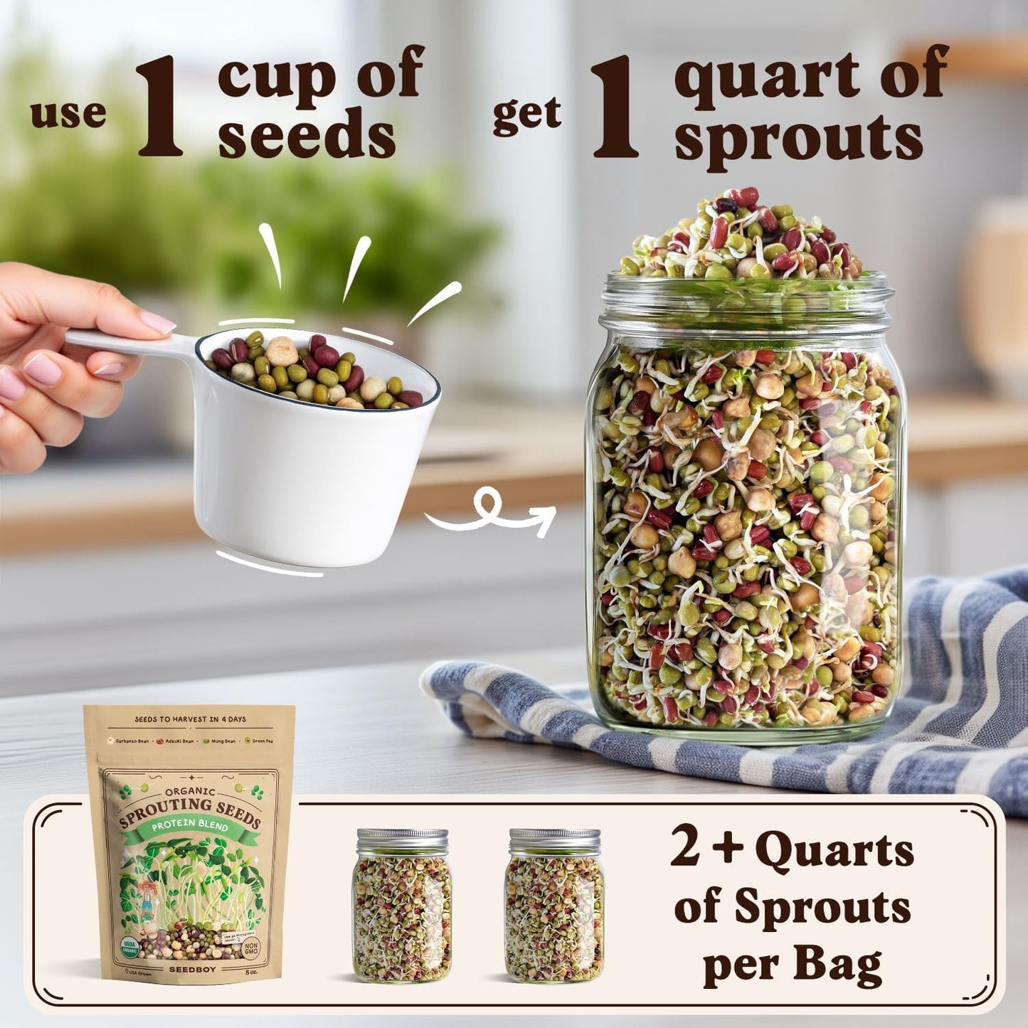 Seedboy Organic Sprouting Seeds - Protein Blend Variety - Non-GMO, USA Grown Microgreens Mix - Garbanzo, Mung, Adzuki Beans, Green Pea - Makes 2 Quarts of Sprouts, 12 Servings (8 oz) (Protein Blend)