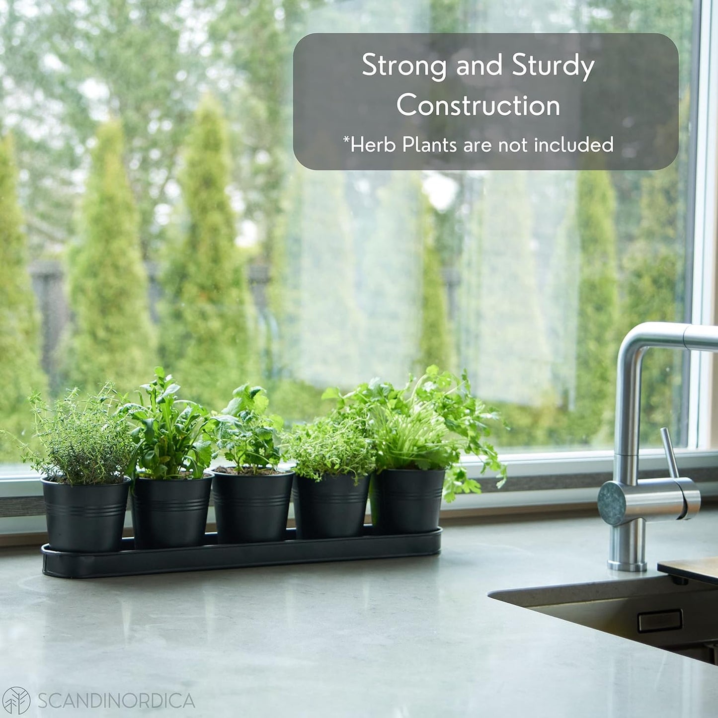 SCANDINORDICA Black Herb Planter – 5 Pots with Drainage Holes and Tray, Windowsill Planter, Herb Pots for Indoor Outdoor Plants | Kitchen & Garden Decor