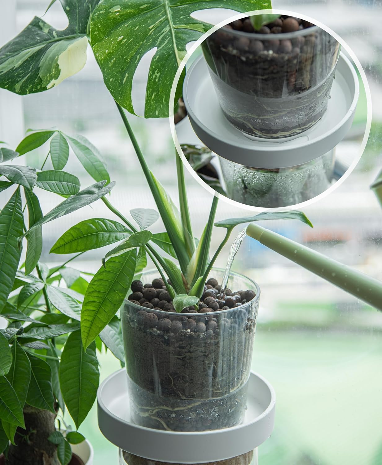 Phoenix Vine 8 Inch Plastic Plant Saucer Water Drip Tray, Heavy Sturdy Round Plant Drainage Tray for Indoors Outdoor, Matte White, 21-TY-8W-1