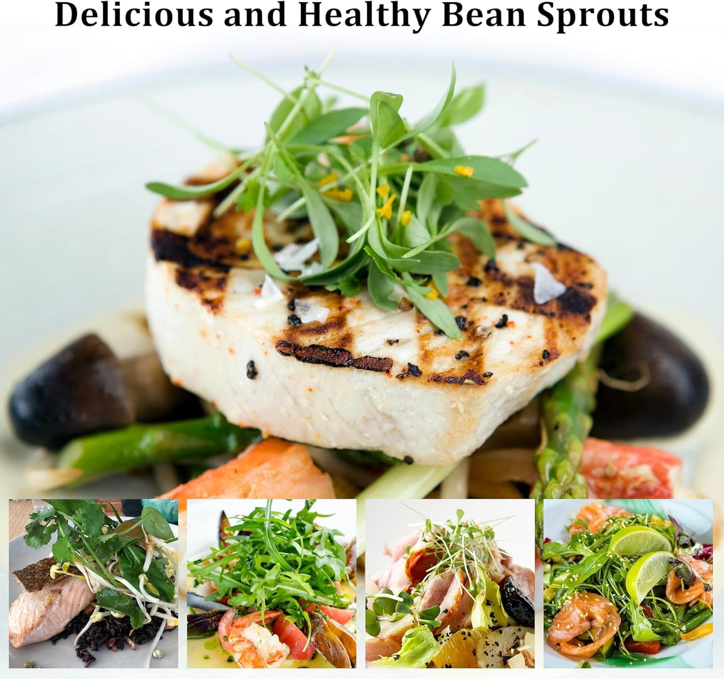 Organic Seed Sprouting Jar Kit – 2 × 32 oz Wide-Mouth Mason Jars with Stainless-Steel Sprouter Lids & Stand, Blackout Sleeves, Drain Tray – Grow Broccoli, Alfalfa & Bean Microgreens