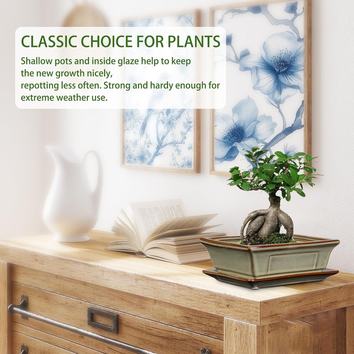 Ceramic Bonsai Pots with Drainage Tray, Set of 2 Rectangular Glazed Bonsai Planters for Indoor/Outdoor Use, Shallow Brown Bonzai Tree Pots for Succulent, Orchids, Cacti, Home, Patio, Garden, 7.5"x5.5"