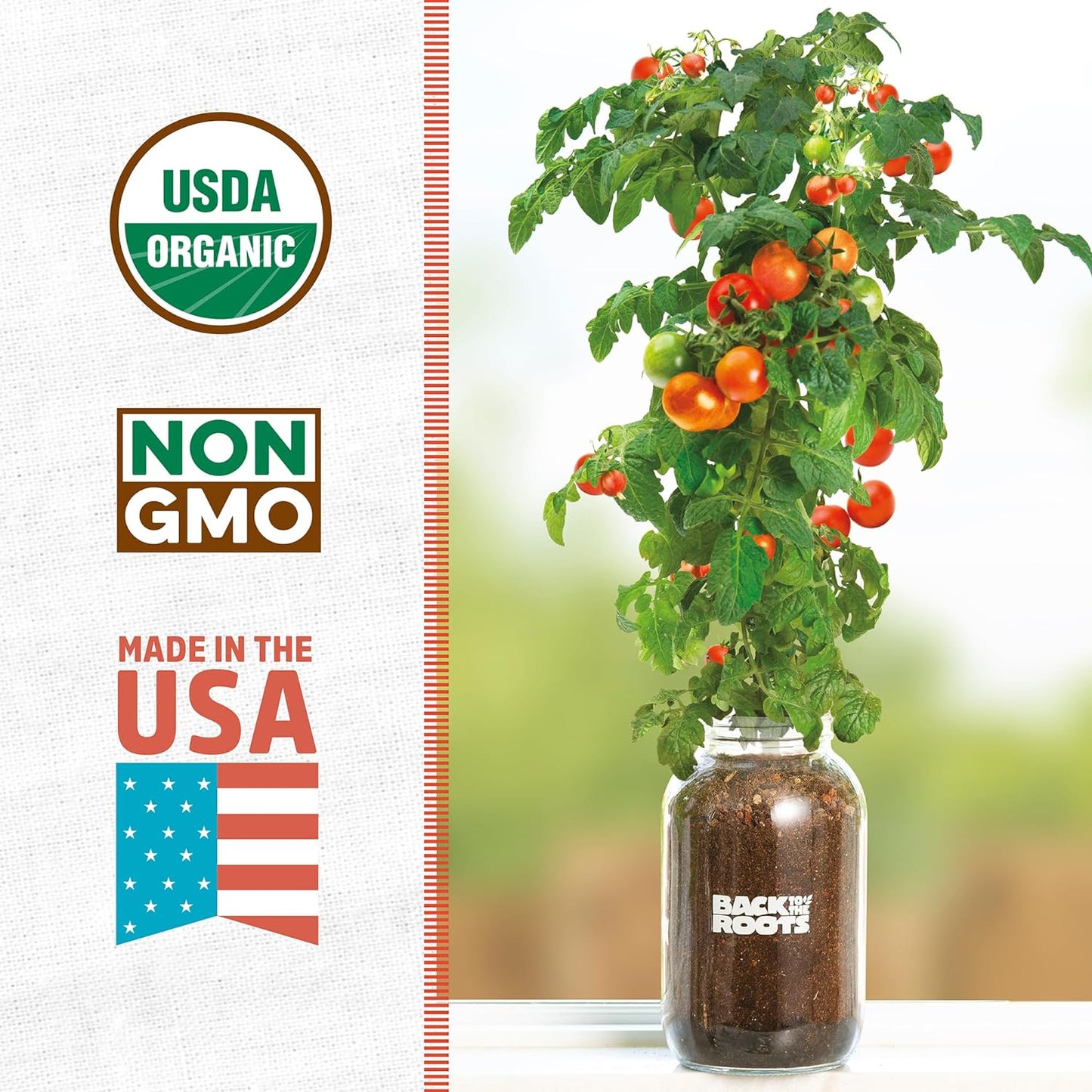 Back to the Roots Cherry Tomato Organic Windowsill Planter Kit - Grows Year Round, Includes Everything Needed For Planting