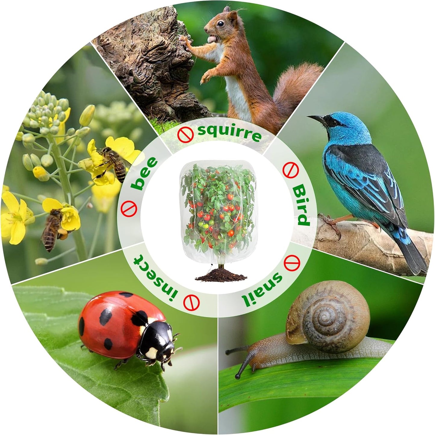 Garden Mesh Netting with Drawstring,Plants Cover Protection from Anti Birds,Bugs,Cicadas,and Insects-Pest Barrier Bag for Blueberry Bushes,Citrus,Tomatoes,Vegetables,Fruit Tree and Orange