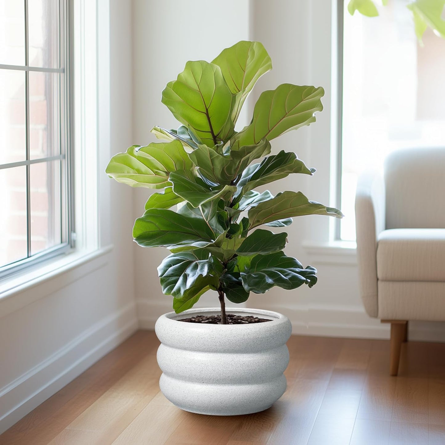 SQOWL Ceramic Planter Pot 13.5 Inch - Plant Pot Indoor with Drainage Hole Large Flower Pot Outdoor Modern Planter House Plant Pot for Office Front Door Porch Decor White