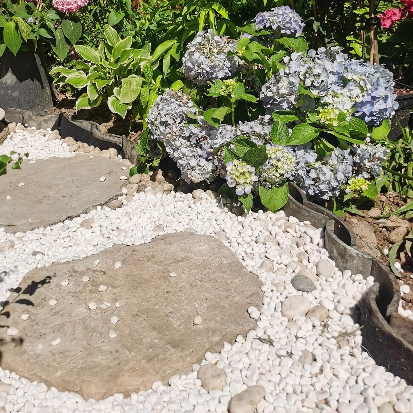 10 lbs White River Rocks for Garden, 0.5-1 Inch Pebbles for Indoor Plants, Decorative Stones for Landscaping, Succulent, Vases, Aquariums and Zen Garden