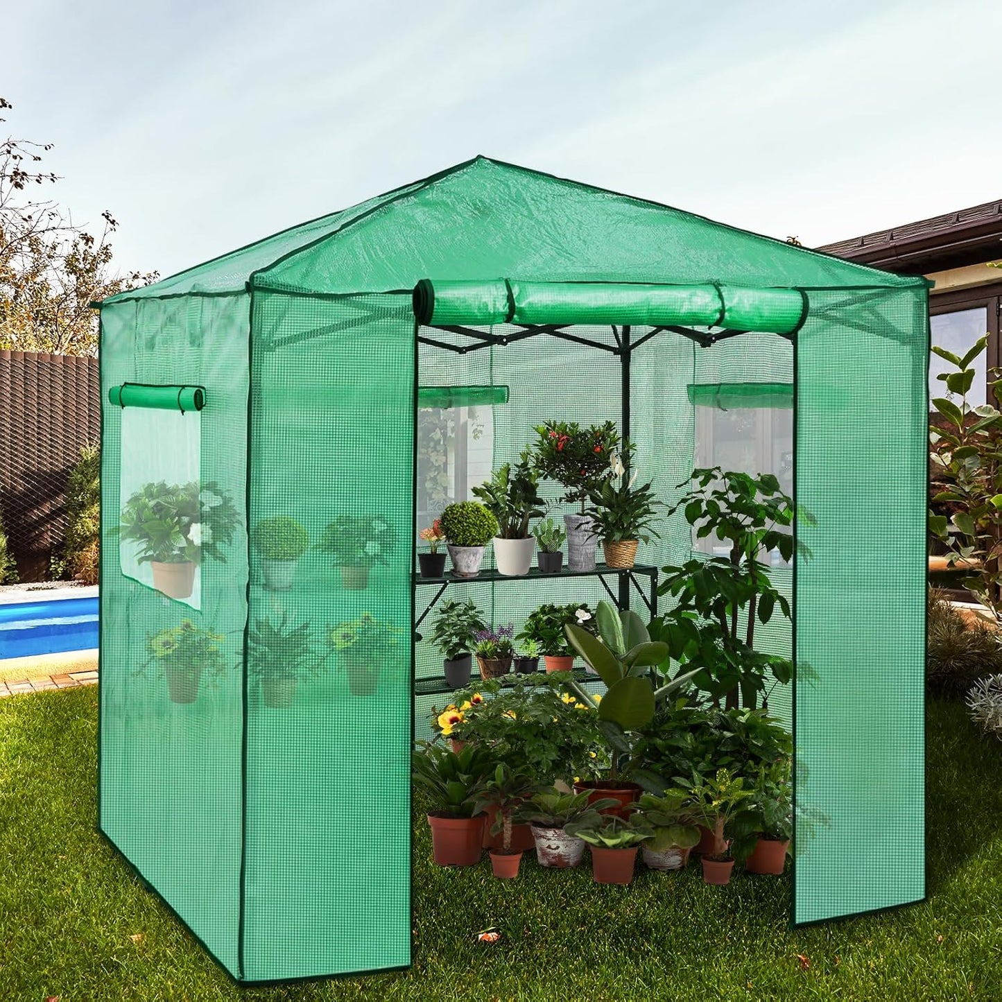EAGLE PEAK 7x7 Pop up Greenhouse Portable Walk-in Outdoor Gardening Green House with 2 Foldable Shelves, Roll-up Zipper Entry Door and 3 Mesh Windows, PE Cover, Green/Clear