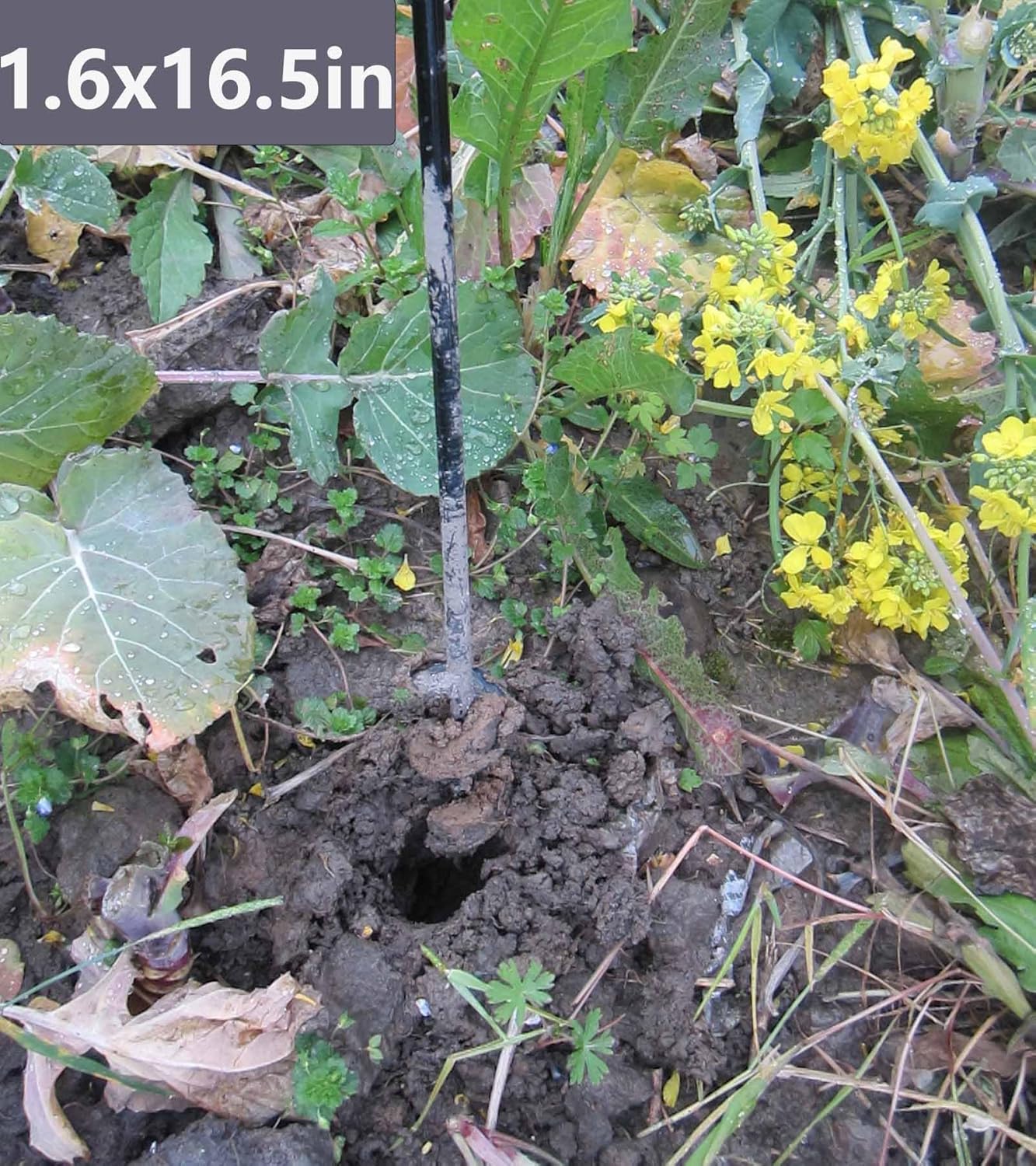 5 Set Auger Drill Bit for Planting,Heavy Duty Garden Auger Spiral Drill Bit Bulb Planter Tool for Planting Bedding Plants,Universal for Cordless Drill(1.6"x9",1.6"x16.5",3.5"x16",4"x12",2"x32")